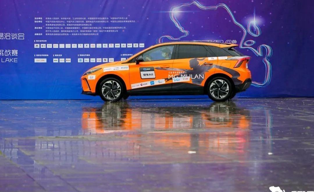 比亚迪,东风,纳米BOX,Model 3,AITO