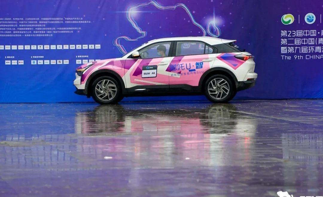 比亚迪,东风,纳米BOX,Model 3,AITO