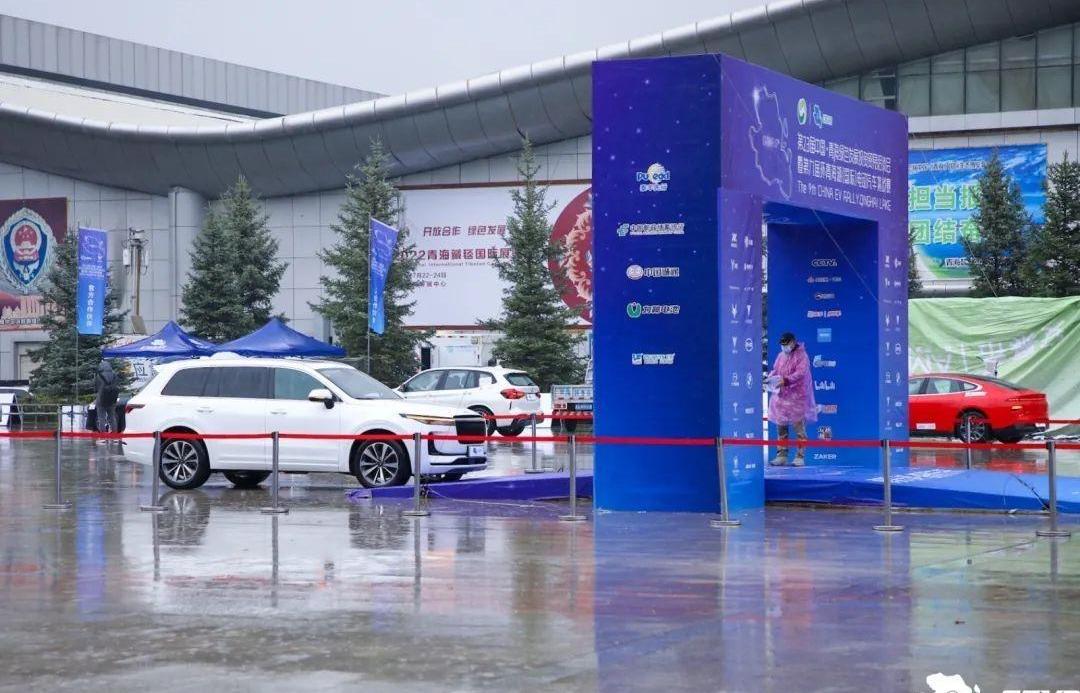 比亚迪,东风,纳米BOX,Model 3,AITO