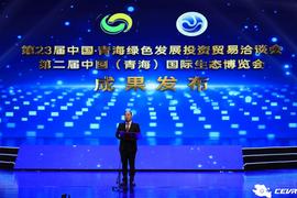 比亚迪,AITO,埃安,问界M7,元PLUS