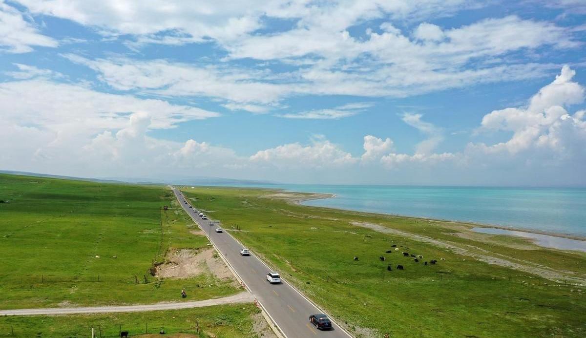 宝马,比亚迪,东风,AITO,埃安