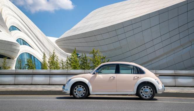 欧拉,大众,欧拉芭蕾猫,现代,长城