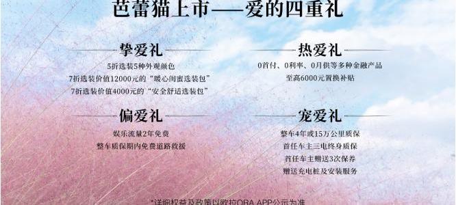 欧拉,大众,欧拉芭蕾猫,现代,长城