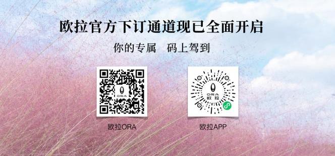 欧拉,大众,欧拉芭蕾猫,现代,长城