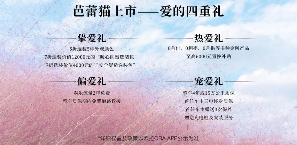 欧拉,欧拉芭蕾猫,大众,现代