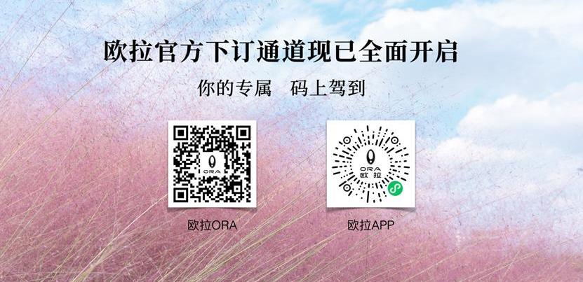 欧拉,欧拉芭蕾猫,大众,现代