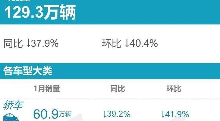 宝马,大众,朗逸,轩逸,奥迪