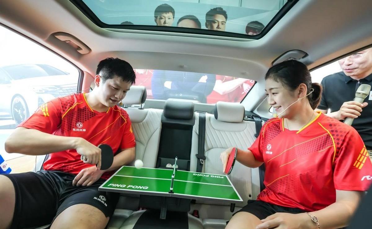 东风,东风风神,奕炫,奕炫MAX,皓极