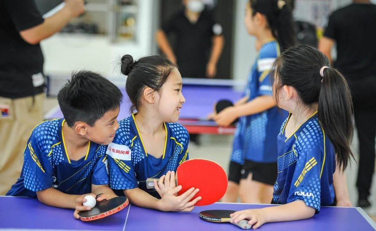 东风,东风风神,奕炫,奕炫MAX,皓极