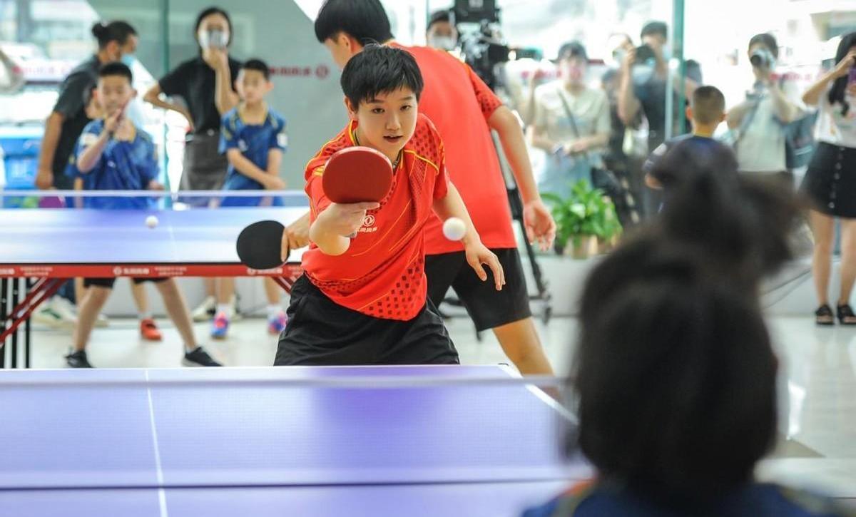 东风,东风风神,奕炫,奕炫MAX,皓极