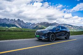 魏牌,摩卡,摩卡DHT-PHEV