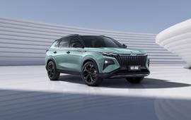 皓极,东风,东风风神