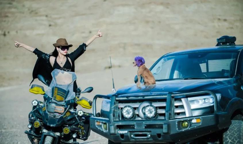 炮,长城,金刚炮,特斯拉,汉