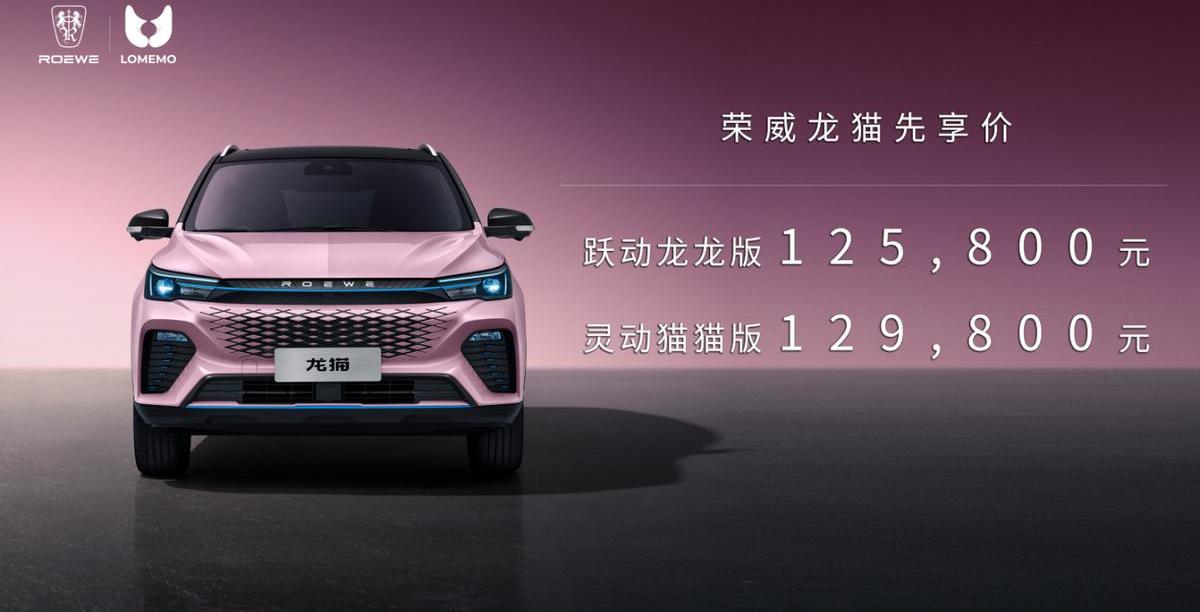 荣威,鲸,龙猫,威龙,天籁