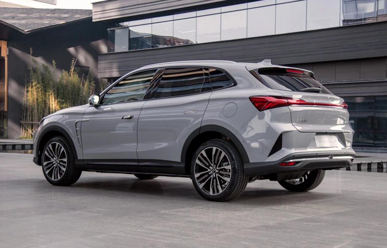 飞凡汽车,保时捷,Macan,大众,斑马