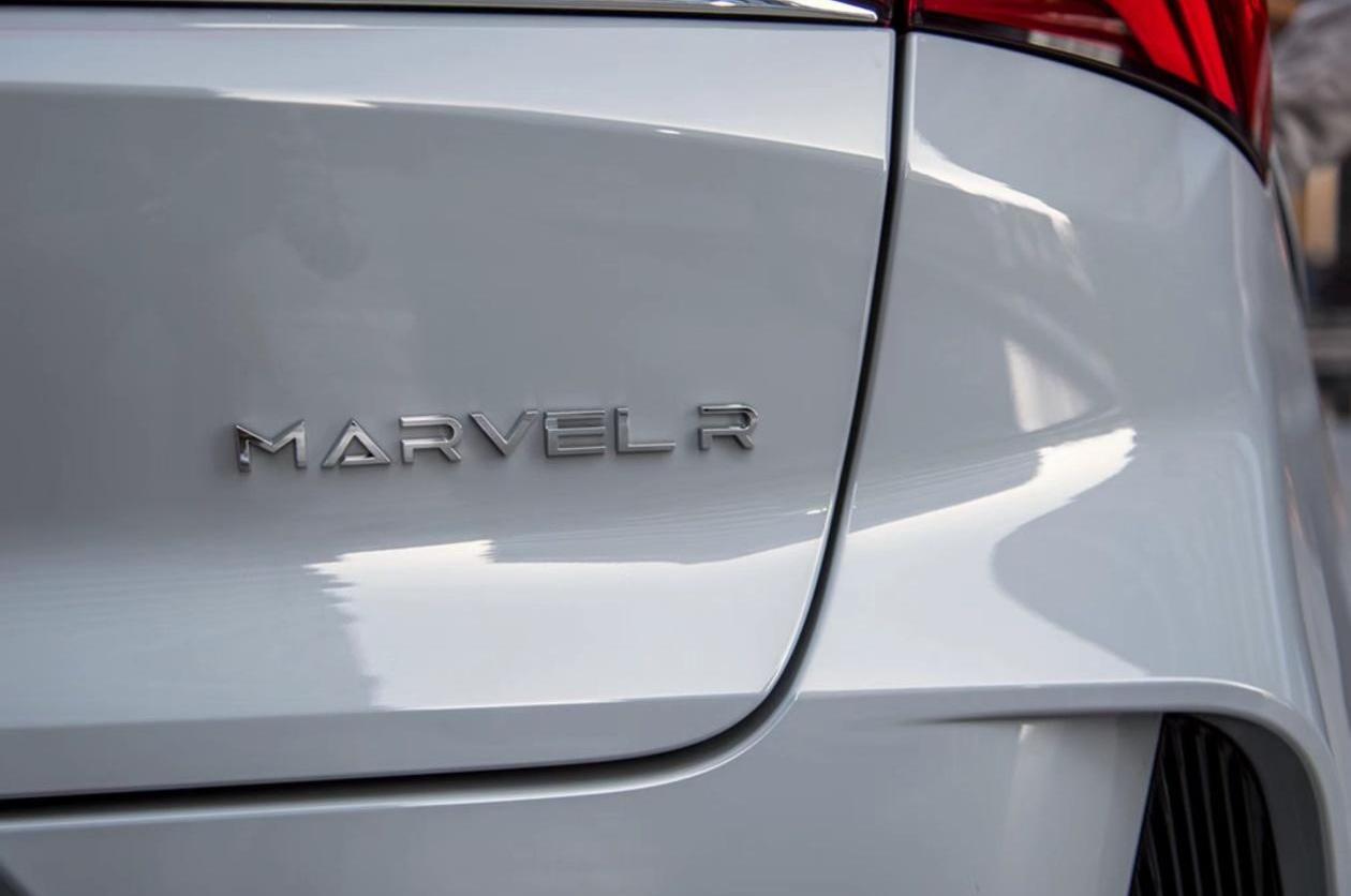 飞凡汽车,保时捷,Macan,大众,斑马