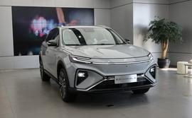 飞凡汽车,保时捷,Macan,大众,斑马