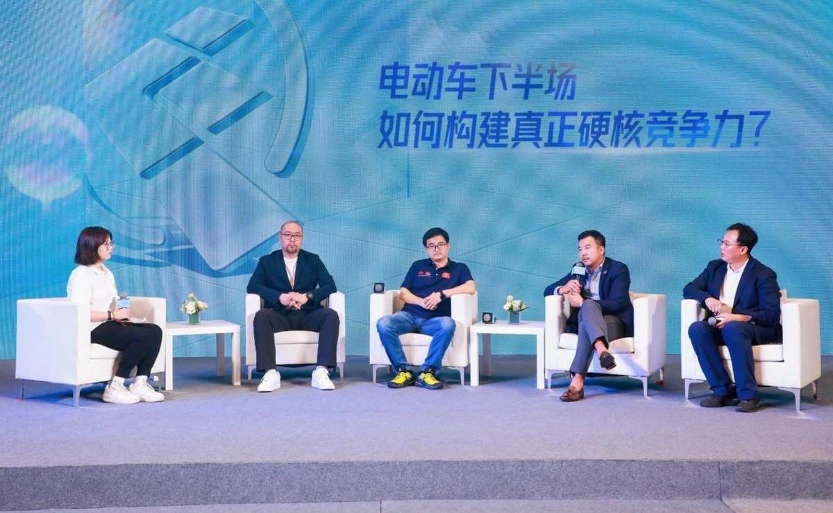 阿维塔,极氪,比亚迪,长城,欧拉