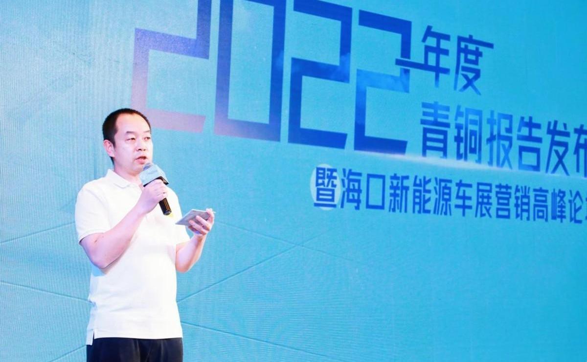 阿维塔,极氪,比亚迪,长城,欧拉