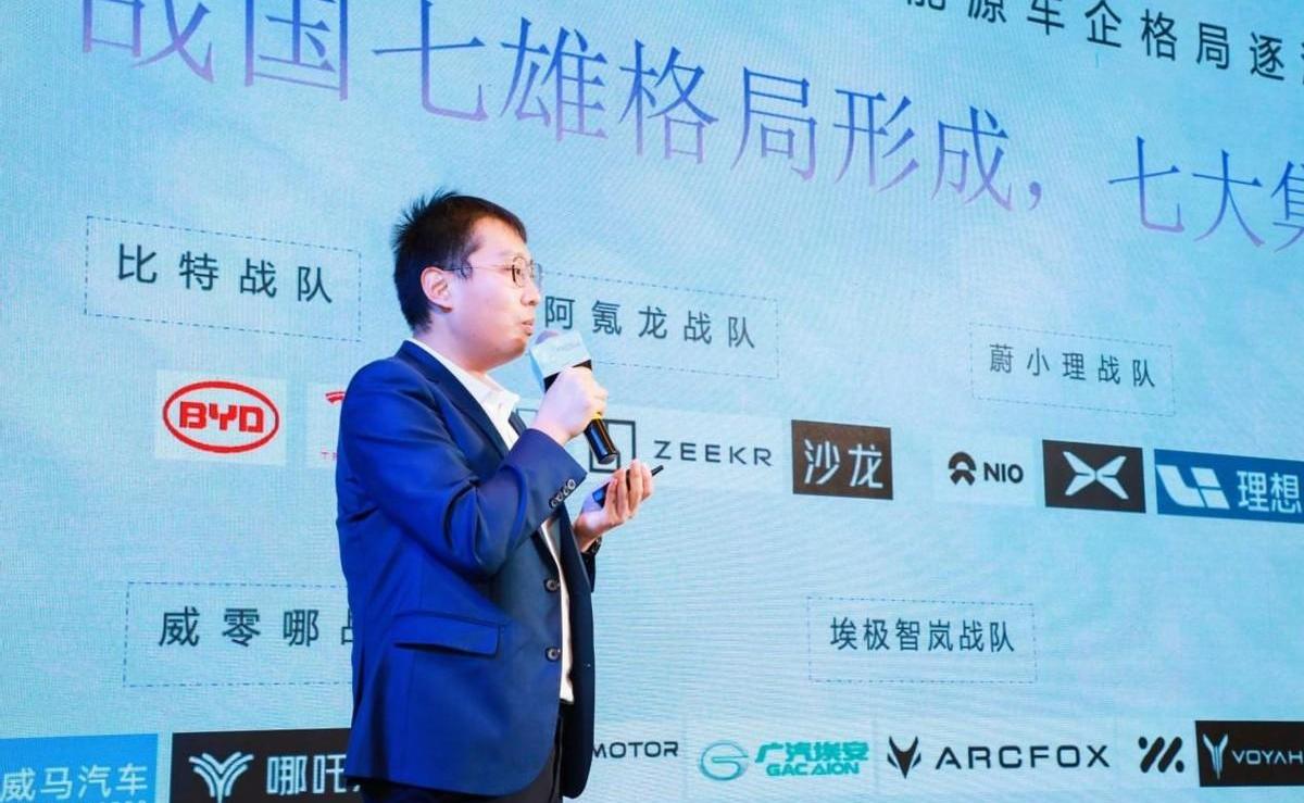 阿维塔,极氪,比亚迪,长城,欧拉