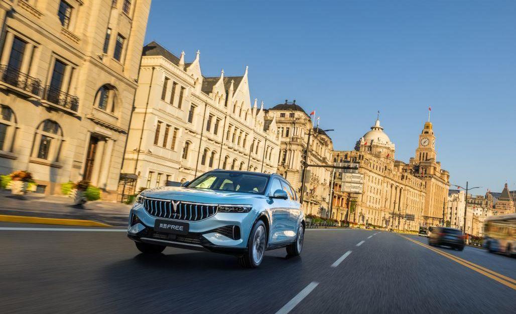 岚图汽车,东风,远程