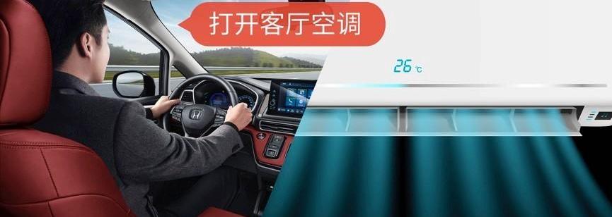 艾力绅,东风,远程