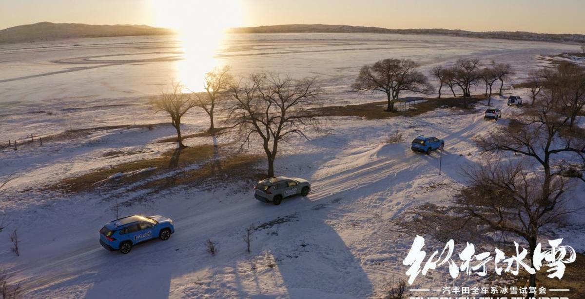 丰田,一汽,亚洲狮,皇冠,皇冠陆放