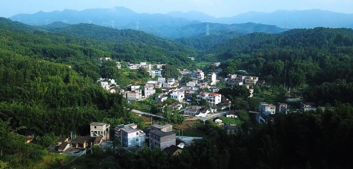 本田,理念,炮