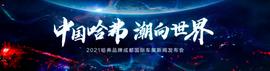 哈弗,哈弗神兽,哈弗H6,哈弗H6S,大运