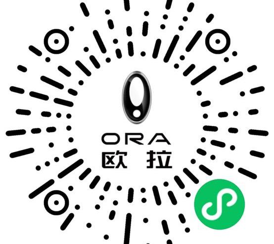 欧拉,欧拉好猫,欧拉好猫GT,炮,发现