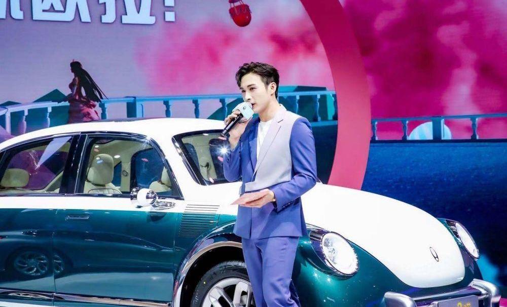 欧拉,欧拉朋克猫,远程,大众,福特