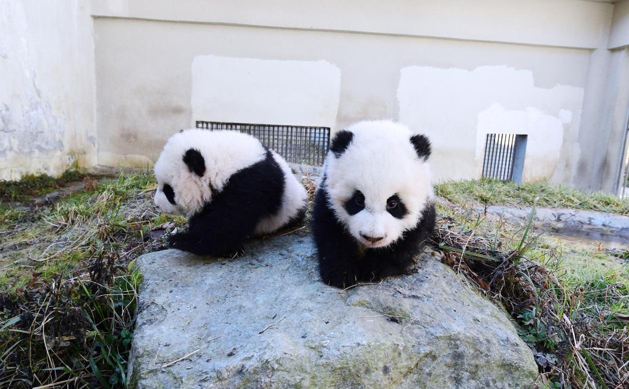 奔驰,理念,远程