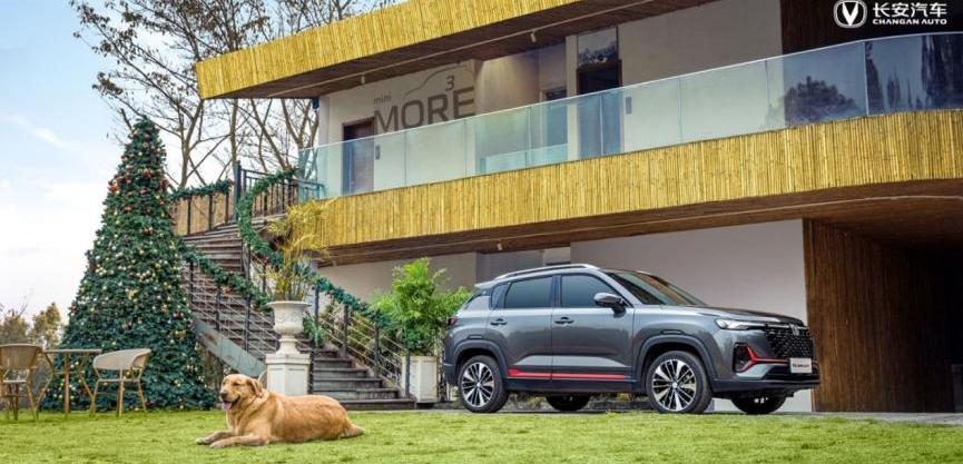 鲸,长安,逸动,远程,理念