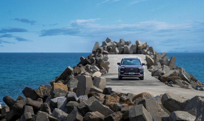 福特,领裕,发现,远程