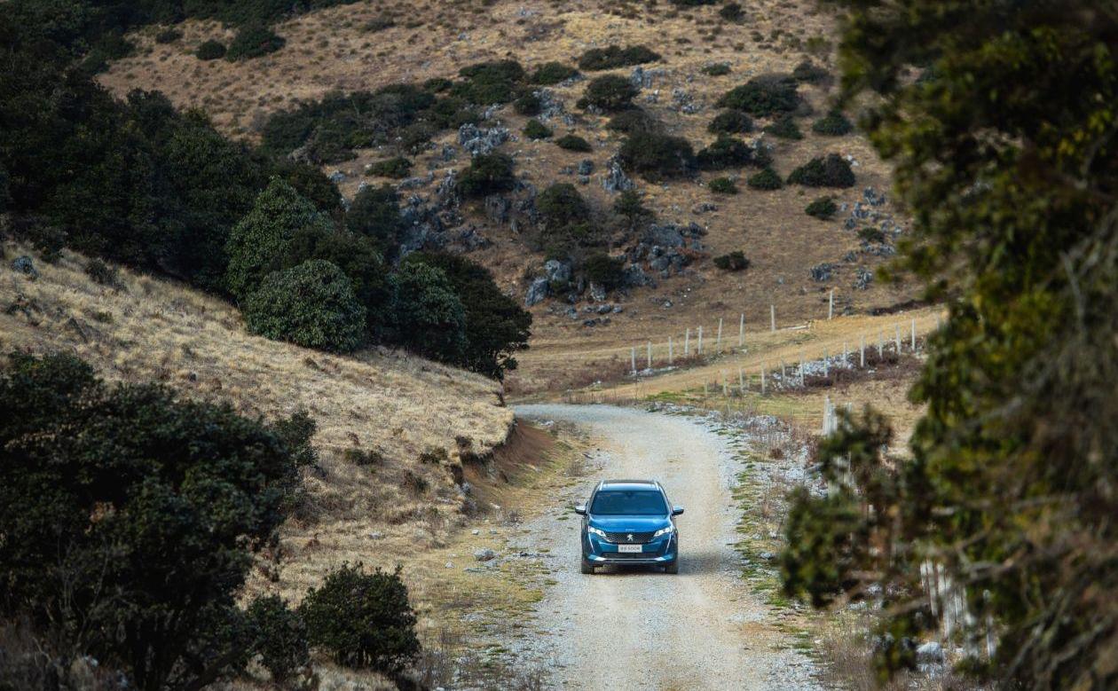 标致,东风,优越,理念,天籁