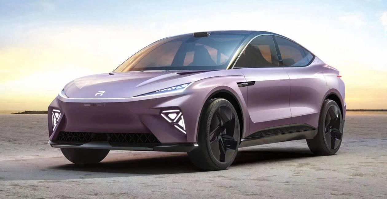 皇冠,斑马,理念