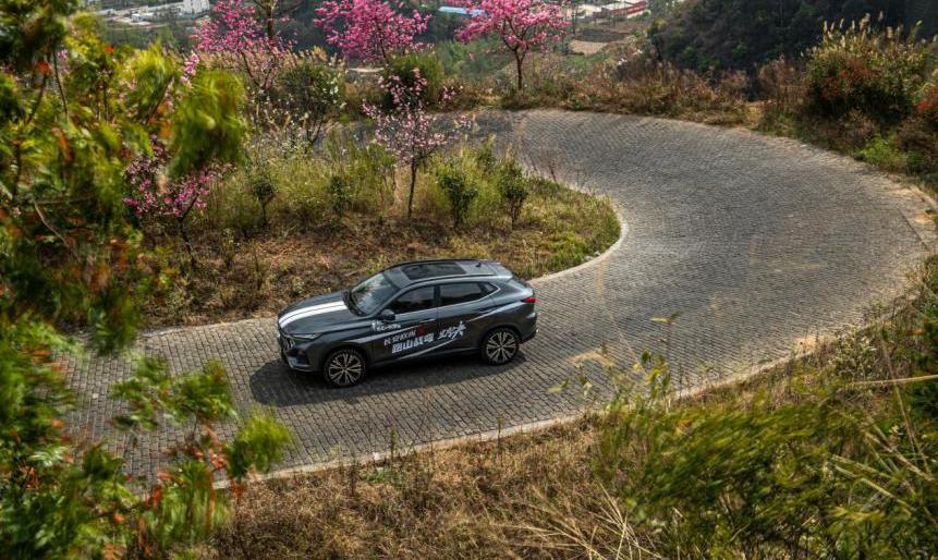 长安,长安欧尚,长安欧尚X5,鲸,九龙