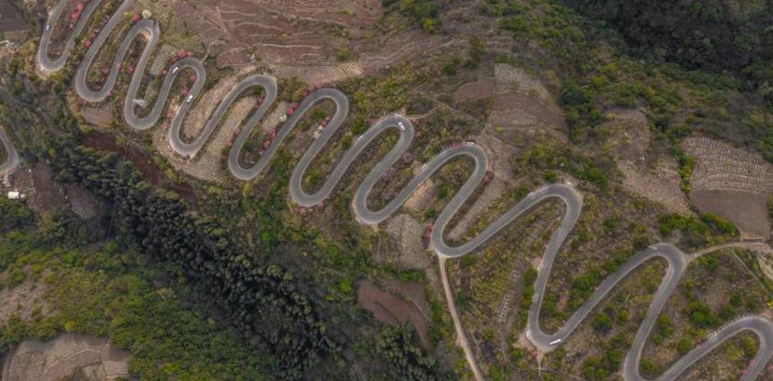 长安,长安欧尚,长安欧尚X5,鲸,九龙