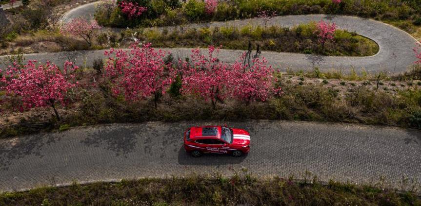 长安,长安欧尚,长安欧尚X5,鲸,九龙