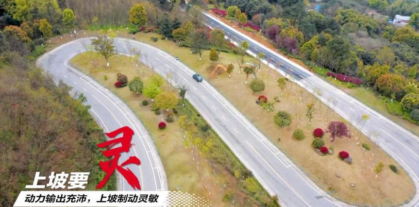 长安,长安欧尚,长安欧尚X5,鲸,九龙