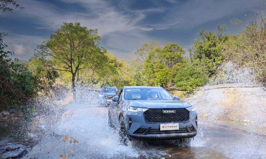 长城,哈弗,欧拉,哈弗H6,炮