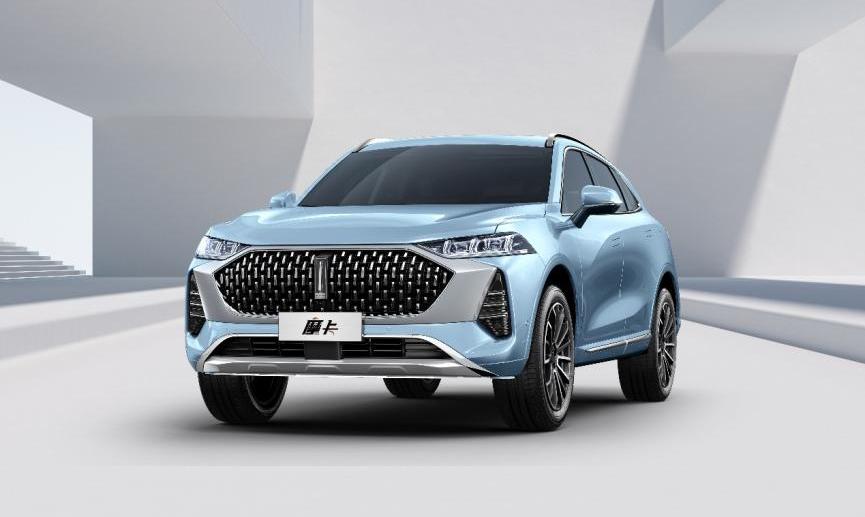 长城,哈弗,欧拉,哈弗H6,炮