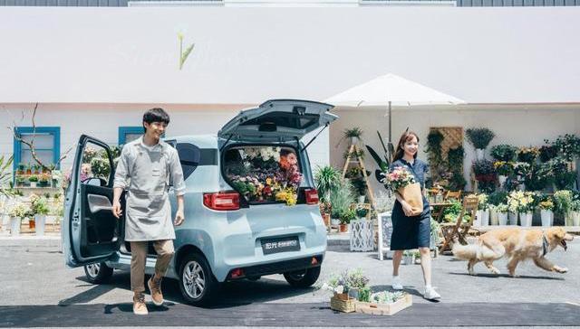 MINI,宏光MINIEV,宝骏,发现,北京