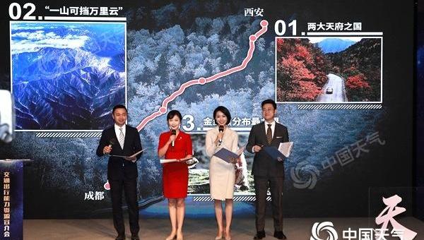 北京,现代,比亚迪,大众