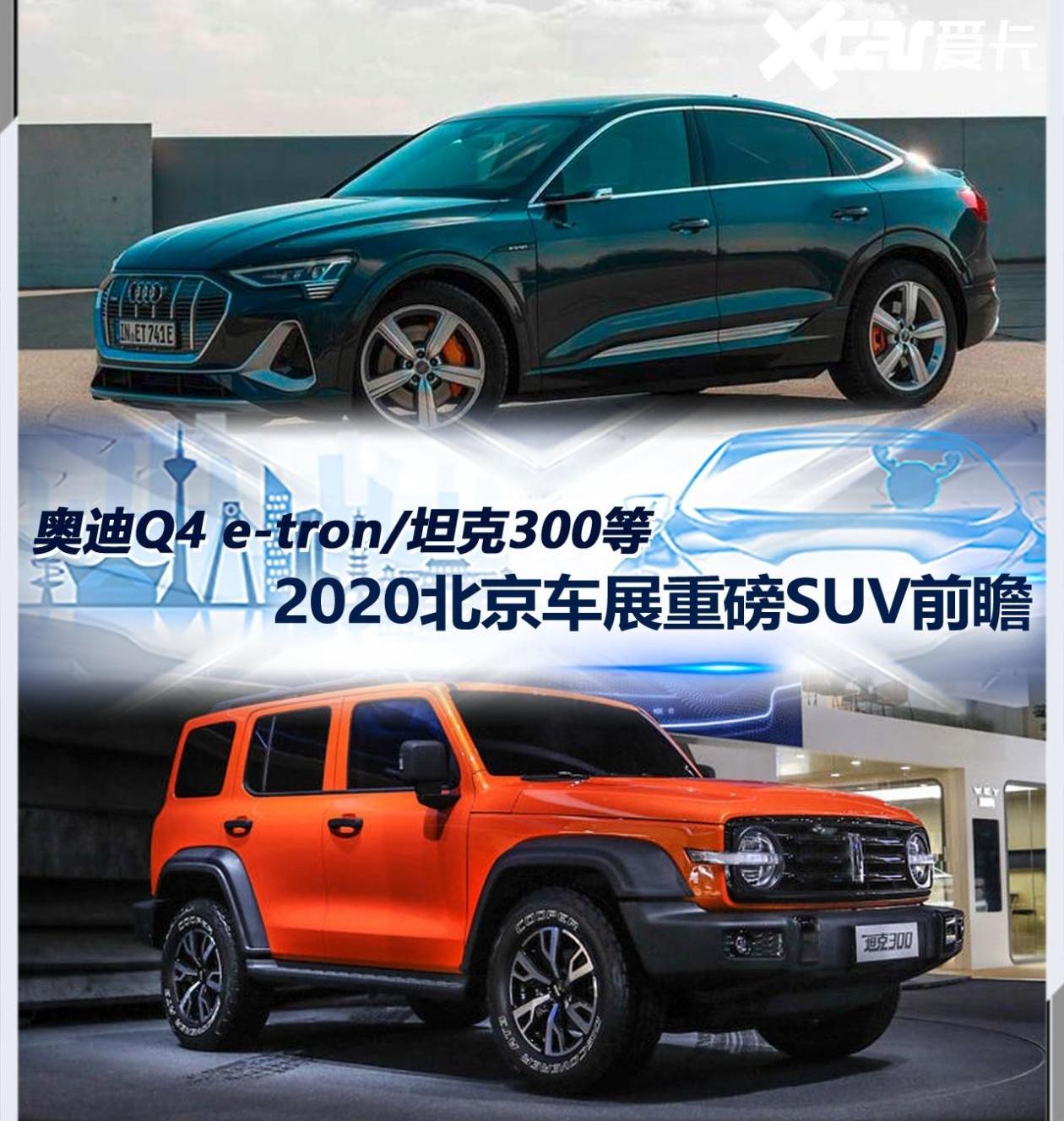 奥迪,北京,大众,特斯拉,一汽