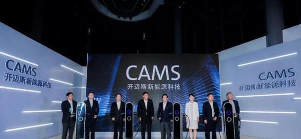 小鹏,江淮,比亚迪,特斯拉,北京