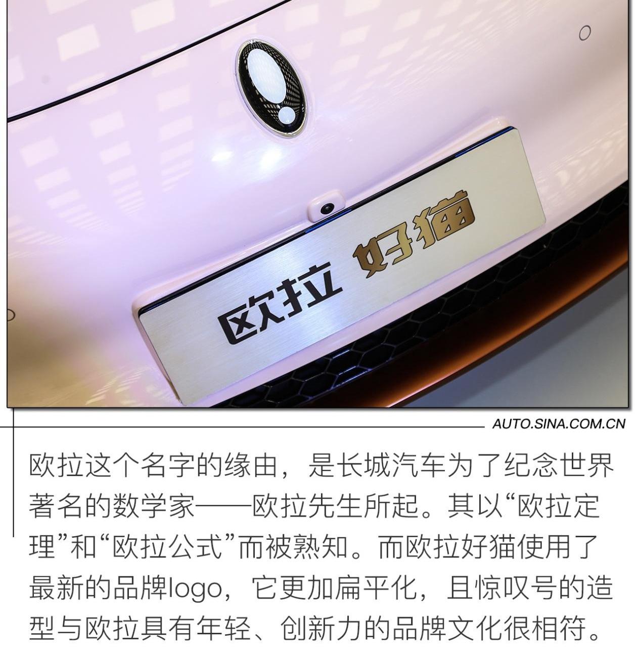 欧拉,比亚迪,长安,长城,坦克