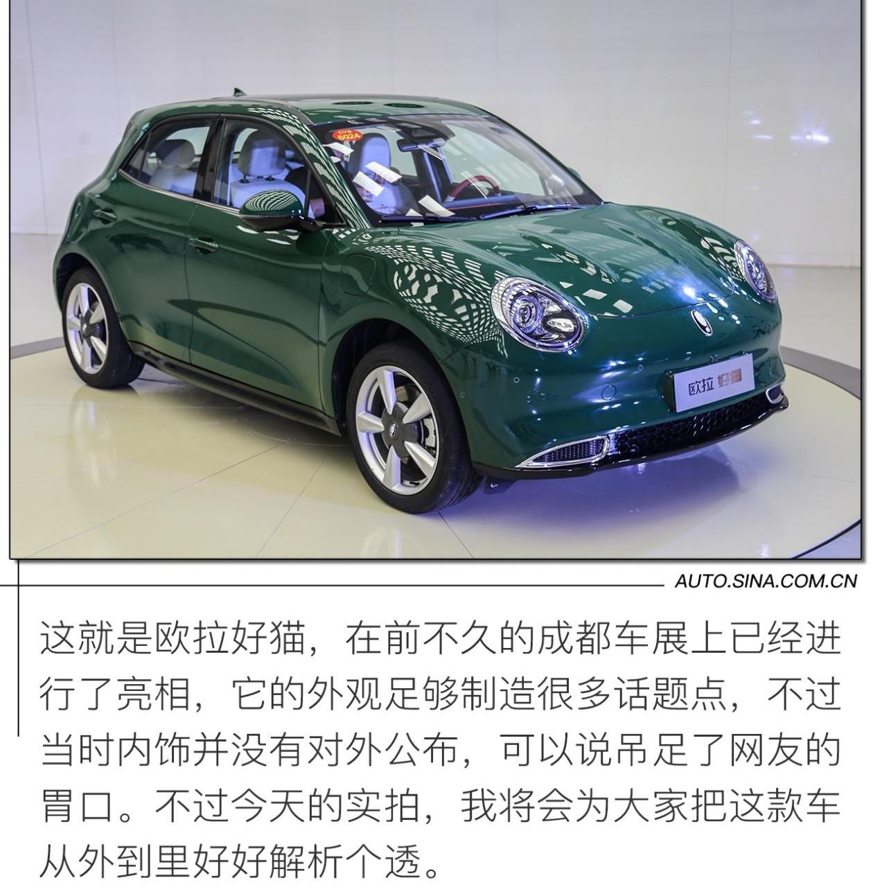 欧拉,比亚迪,长安,长城,坦克