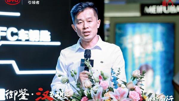 汉,比亚迪,优越,现代