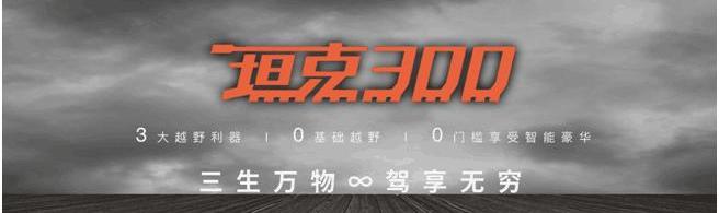坦克,坦克300